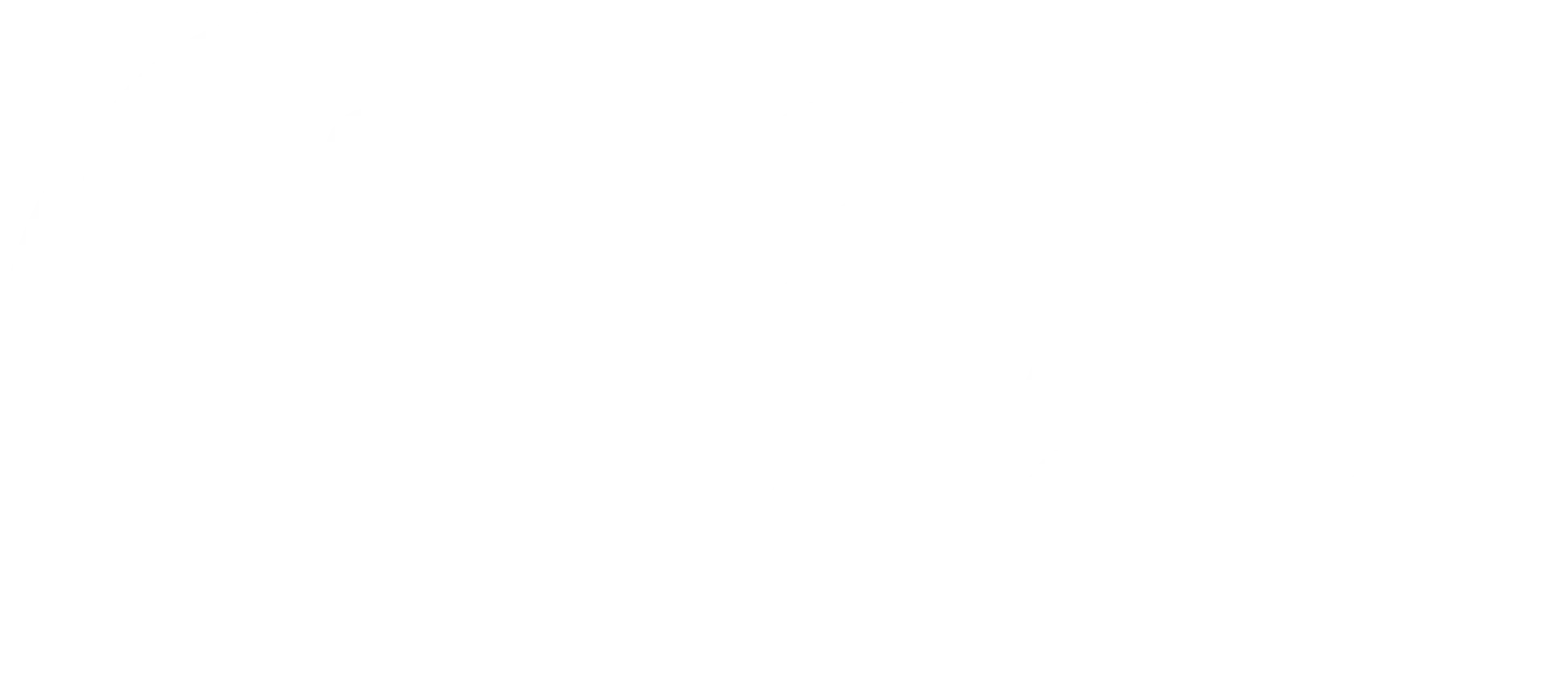 Seed Scale Global